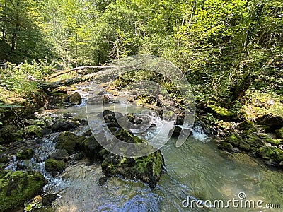 Small mountain river GerovÄica, Zamost - Region of Gorski kotar, Croatia / Mala gorska rijeka GerovÄica Stock Photo